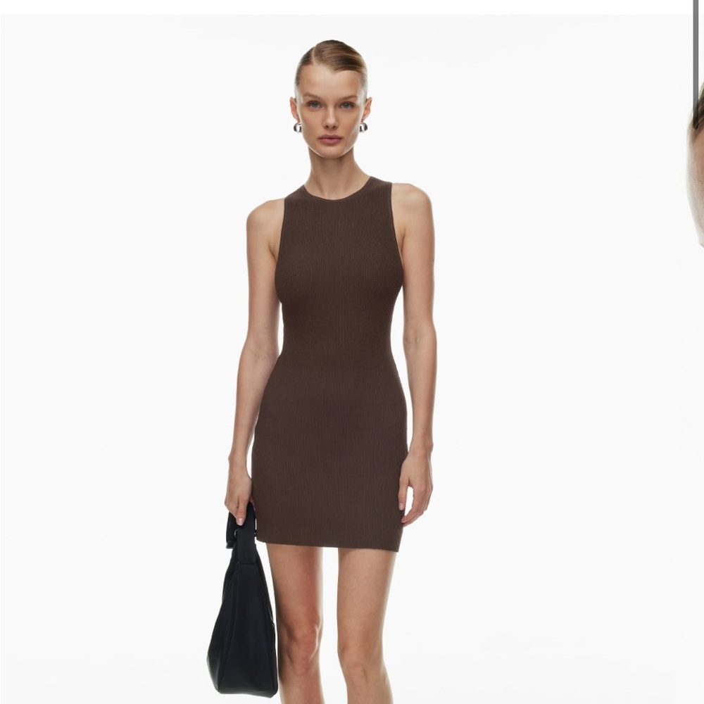 Aritzia Dress